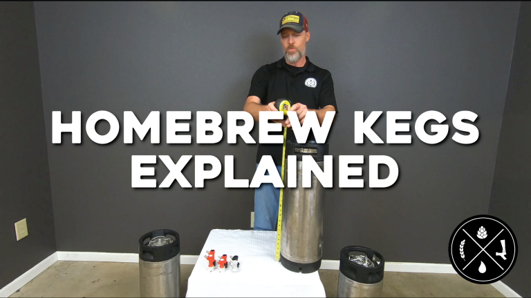 Homebrewing Kegs Explained: An Overview