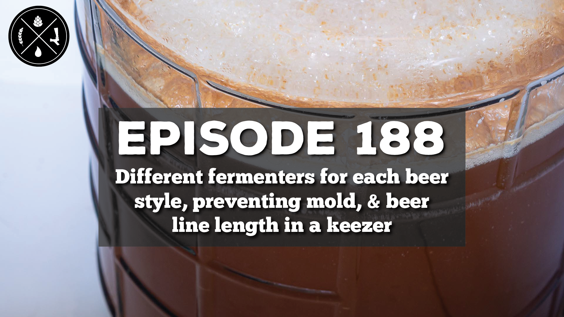 Different fermenters for each beer style, preventing mold, & beer line