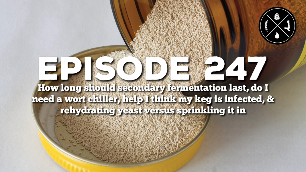 How long should secondary fermentation last, do I need a wort chiller