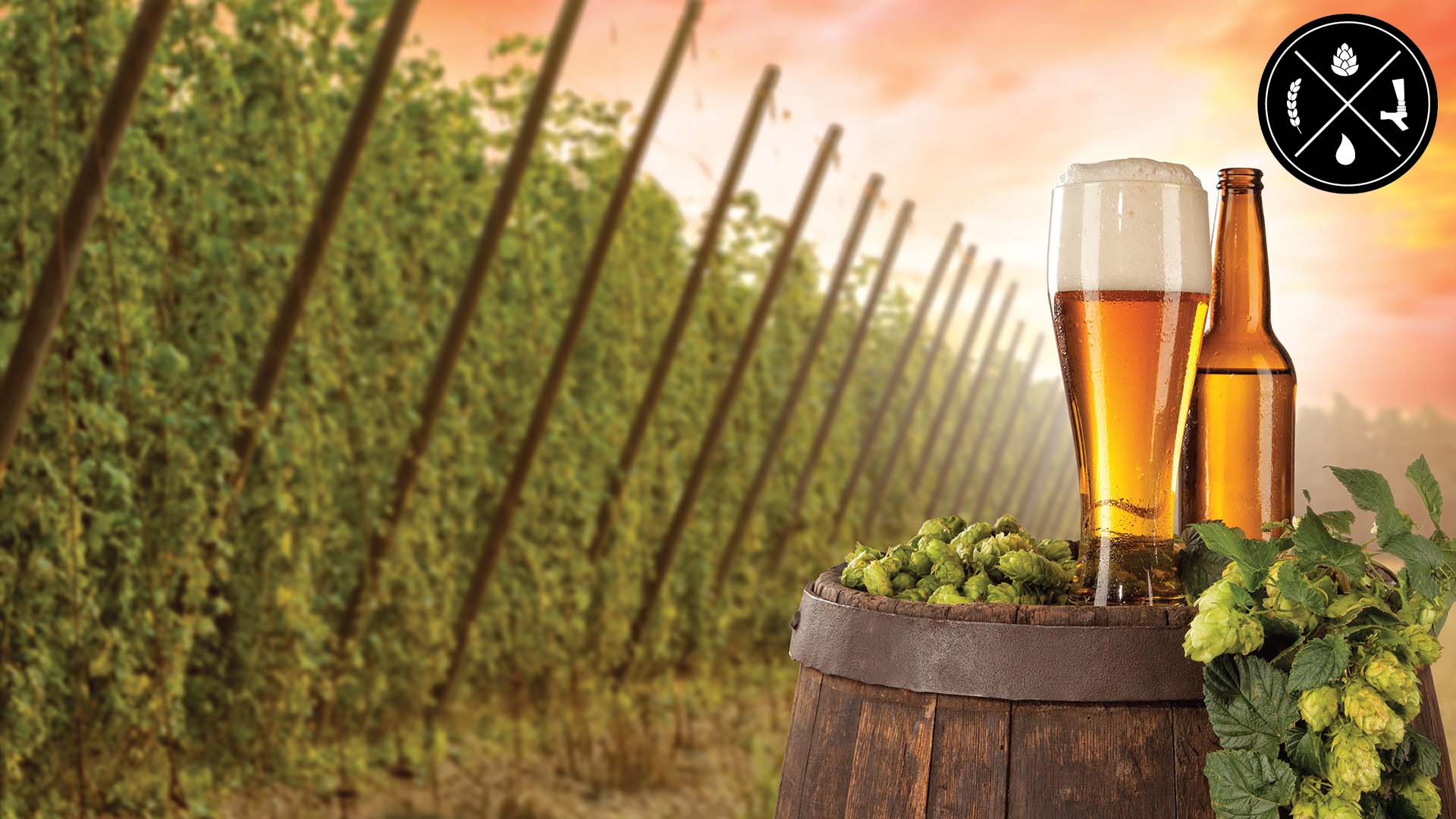 Calculating IBUs, What Needs Sanitizing PostBoil, & Tap Water Leaking