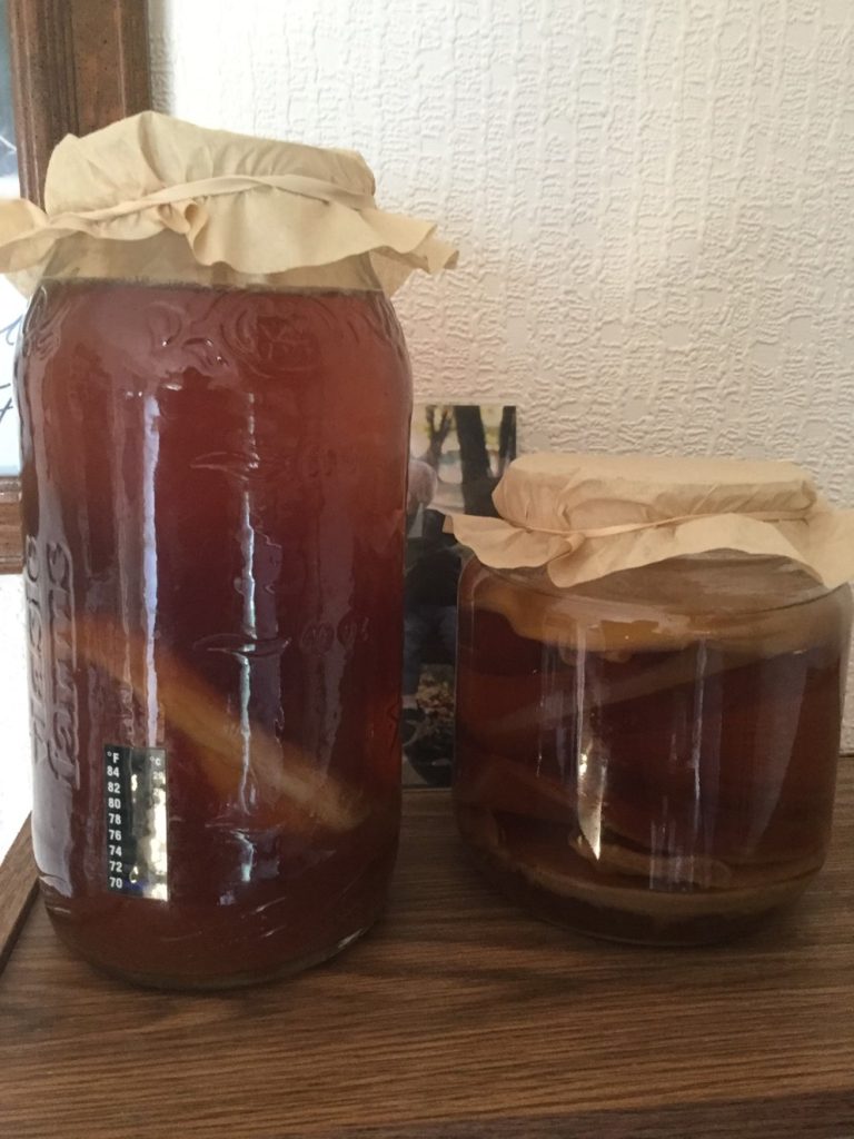 Understanding the Basics of Kombucha Making (Easy Recipe Included)