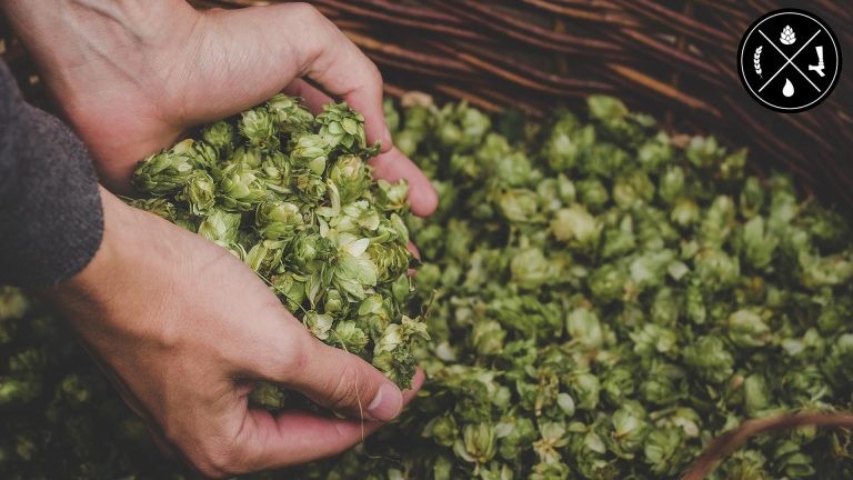 Can I Brew with Sparkling Water, Growing & Brewing with Fresh Hops, & Converting Regulators for Nitrogen or into Secondaries – Ep. 342