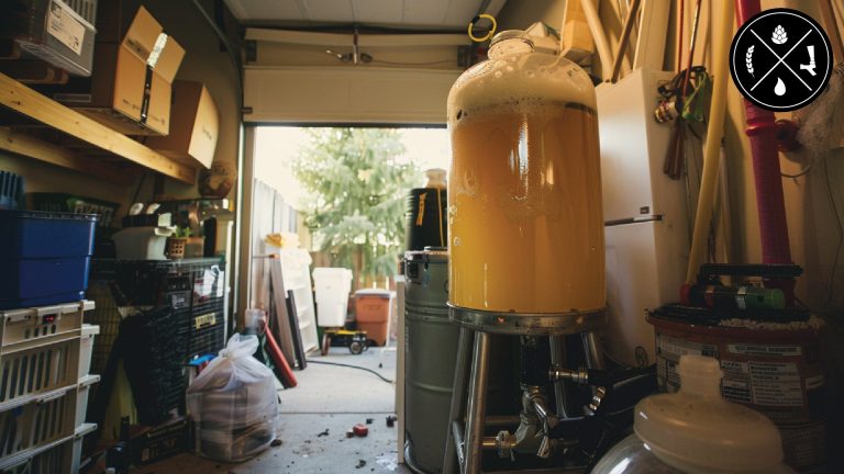 Shelf Life for Crushed Grains, Transferring Hazy Beer from my Fermenter, & Letting a Batch Stay in the Fermenter for 2 Weeks – Ep. 386