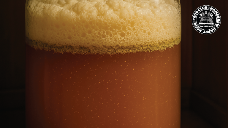 Installing a Long Line Draft Beer System in Your Home, Transferring From the Fermenter While Krausen is Still Present, & What to do with a Sack full of Weevils – Ep. 433
