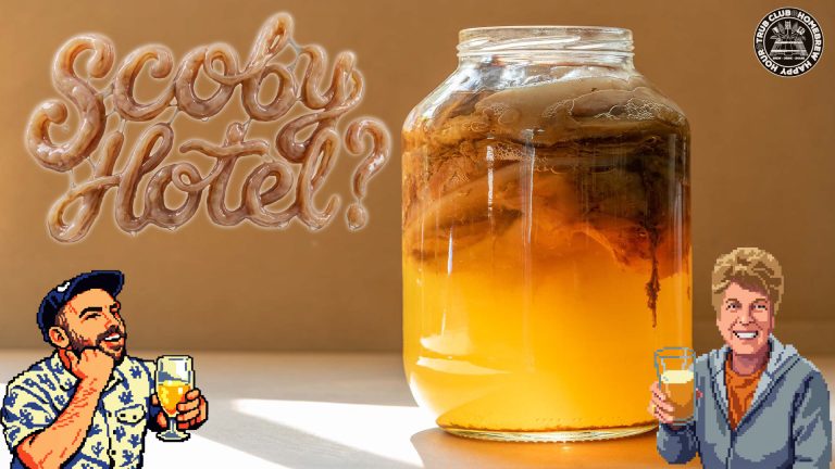 SCOBY Hotels, Garage Brewing & Fast SG Checks